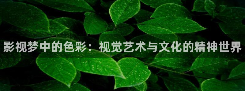 西瓜神马影院：影视梦中的色彩：视觉艺术与文化的精神世界