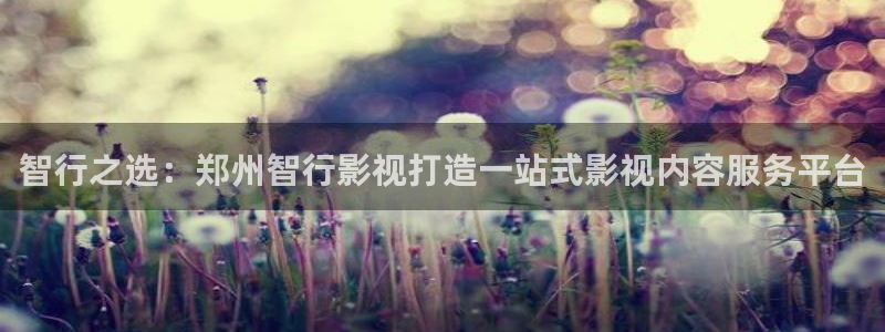 西瓜影院理论电影理论：智行之选：郑州智行影视打造一站式影视内容服务平台