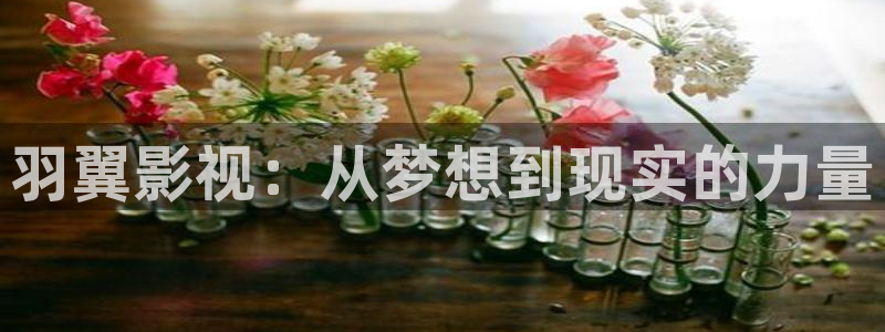 西瓜影院网站：羽翼影视：从梦想到现实的力量