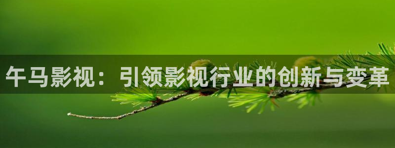 西瓜电影如何下载：午马影视：引领影视行业的创新与变革