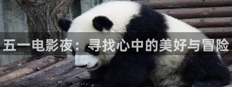 西瓜影院.：五一电影夜：寻找心中的美好与冒险