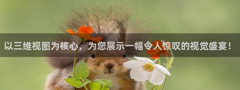 十堰西瓜：以三维视图为核心，为您展示一幅令人惊叹的视觉盛宴！